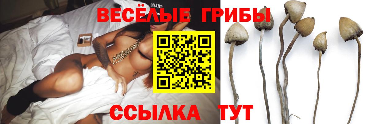 Галлюциногенные грибы Magic Shrooms Краснодар